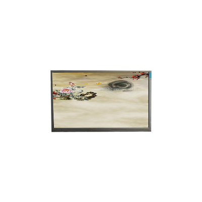 P236MWF2 R0 23.6 inci 1920*1080 TFT-LCD Screen Display