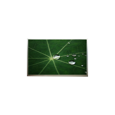 15.4 inci N154I6-L03 LCD display 1280*800 Layar LCD