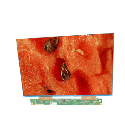 Harga yang bagus Layar Panel LCD Industri 10,1 Inch GV101WXB-NN0-3GP0 Layar Monitor LCD on line