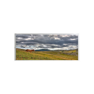 Harga yang bagus Layar LCD Industri AMPIRE 19,1 inci AM-1920360ATZQW-00 on line