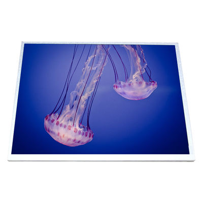 Harga yang bagus HSD100IXN1-A10 layar LCD panel LCD 10,0 inci on line