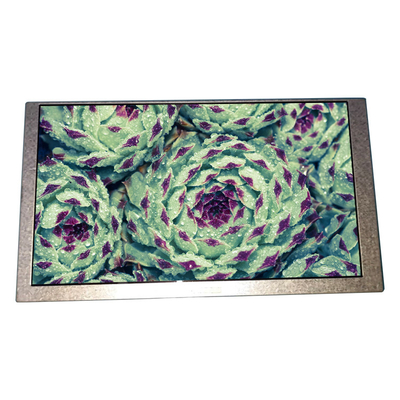 Harga yang bagus 6.2 inci HSD062IDW1-B00-C00 LCD panel 800*480 Layar LCD on line