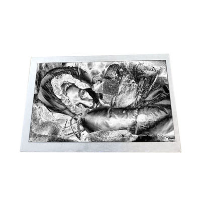 Harga yang bagus Industri TX13D06VM2BAA 5,0 inci 188PPI Layar LCD on line