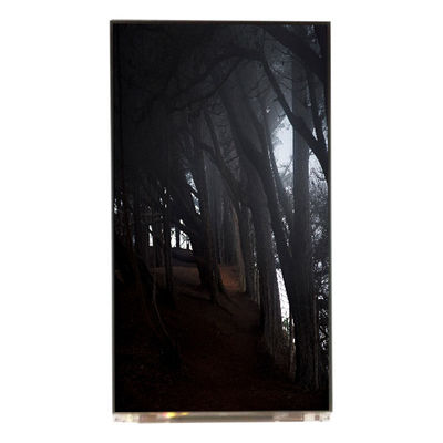 Harga yang bagus LQ055T3SX04 5,5 inci 1080*1920 TFT-LCD layar on line