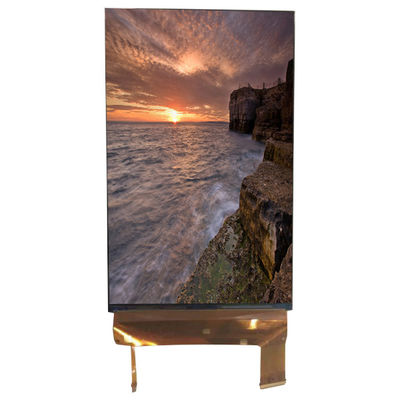 Harga yang bagus LQ070M1SX01 7.0 inci Layar 1200*1920 LCD Layar Monitor 71 Pin on line