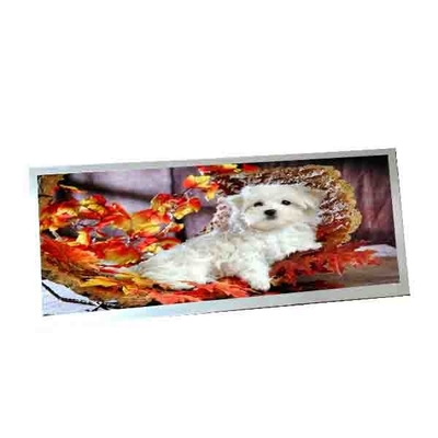 Harga yang bagus Untuk AUO C123HAN02.5 12,3 inci 40 pin LCD Display on line