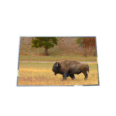 Harga yang bagus Pasokan 17,0 inci B170PW03 V5 99PPI TFT LCD Panel on line