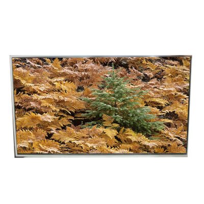 Harga yang bagus 49.0 inci 3840*2160 LD490EQG-FNA4 Lcd layar untuk Digital Signage on line