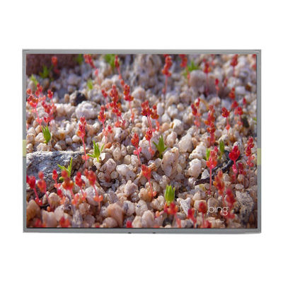 Harga yang bagus LM2011-SLWE01 Original 20,1 inci 1680*1050 LCD Display Screen on line