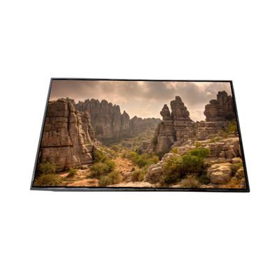 Harga yang bagus AV101HDM-N11 10,1 inci LCD Screen Display LCD Modul on line