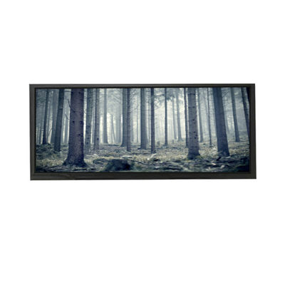 Harga yang bagus AV103Z7M-N13-3850 10,3 inci LCD Screen Display LCD MODUL on line