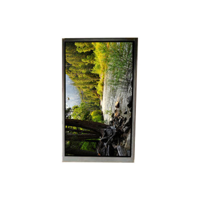 Harga yang bagus BA050WQ2-200 5,0 inci 480 * 272 LCD Screen Untuk Navigasi Portable on line