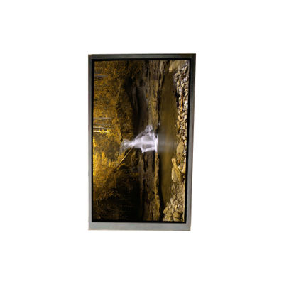 Harga yang bagus BA050WQ4-100 5.0 inci 480 * 272 LCD Screen Untuk Navigasi Portable on line