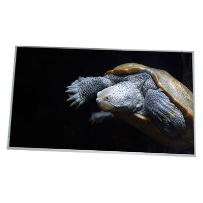 Harga yang bagus LM300W01-STA2 Baru 30,0 inci 2560*1600 LCD Screen Display on line