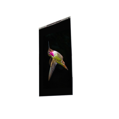 Harga yang bagus BS062FBE-L30-6Q00 6.3 inci LCD Display Layar LCD PANEL Untuk Ponsel on line