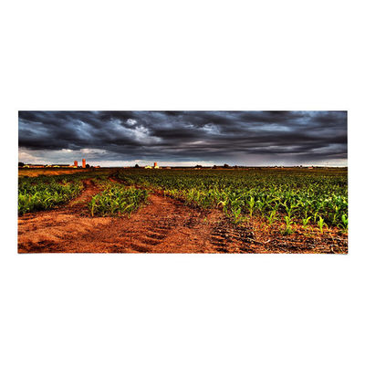 Harga yang bagus LM340UW6-SSA3 34.0 inci LCD Panel 3440*1440 LCD Tampilan on line