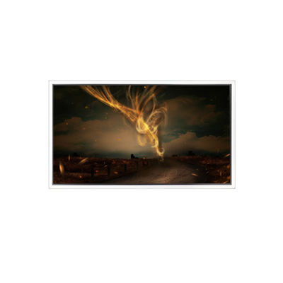 Harga yang bagus 28.0 inci 1920*2160 DV279SVB-NV0 LCDScreen FOR Video Wall on line