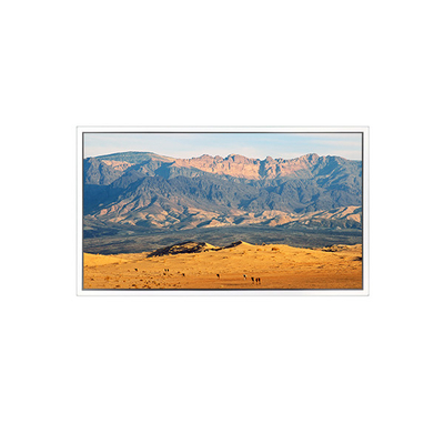 Harga yang bagus 49 inci 3840*2160 DV490QUB-N8A Layar LCD untuk Digital Signage on line