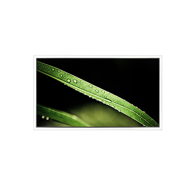 Harga yang bagus 3840*2160 65 inci DV650QUM-NV0 500 cd/m2 Layar LCD untuk Video Wall on line