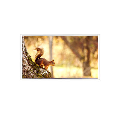 Harga yang bagus NEW EV156FHB-N12-2HP0 1920*1080 15,6 inci Layar LCD Untuk Industri on line