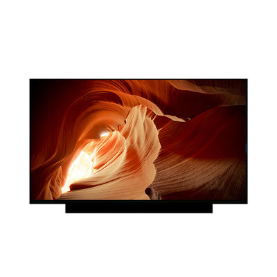 Harga yang bagus EV173FHM-N81 Layar LCD baru 17,3 inci 1920*1080 on line