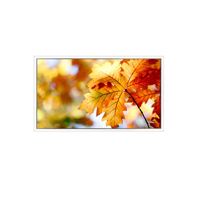 Harga yang bagus EV238FHM-N12 23.8 inci 1920*1080 LCD Screen Monitor on line