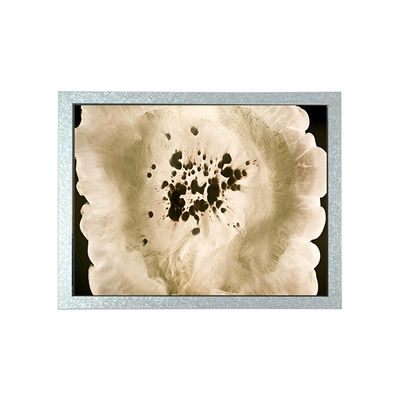 Harga yang bagus 800*600 8.0 inci GT080S0M-N12-1QP2 350 cd/m2 LCD Screen Monitor on line