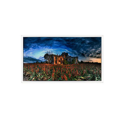 Harga yang bagus 15.6 inci GV156QDB-N80 2560*1600 40 pin Layar LCD on line