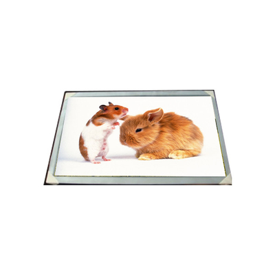 Harga yang bagus LM170E03-TLG6 17,0 inci 16,7M LCD Panel Modul on line