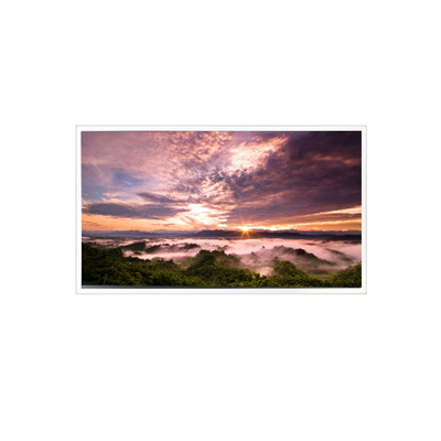 Harga yang bagus 18.5 inci QV185FHM-N80 1920*1080 LCD Panel untuk Industri on line