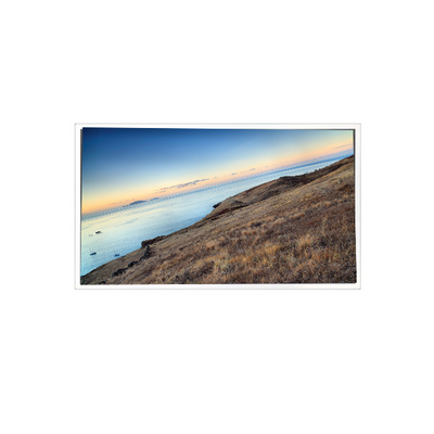 Harga yang bagus MV185WHM-N10 18.5 inci 1366*768 16.7M 99%sRGB LCD Panel untuk Industri on line