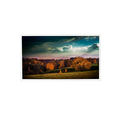 Harga yang bagus 3840*2160 RV156QUM-N00 15,6 inci Layar LCD untuk Cahaya Tinggi Luar Ruang on line