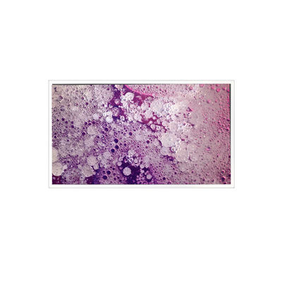 Harga yang bagus RV201U0M-N00 1600*1200 20,1 inci Layar LCD untuk Industri on line