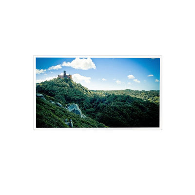 Harga yang bagus 10.4 inci 1024*768 RV104X0M-N01 900 cd/m2 Layar LCD on line