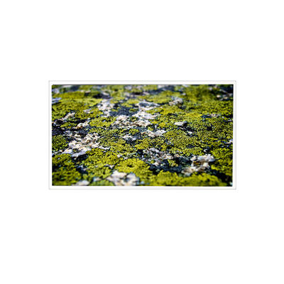 Harga yang bagus 10.4 inci RV104X0M-N00 1024*768 Layar LCD untuk Industri on line