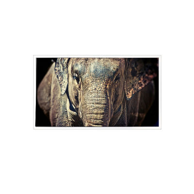 Harga yang bagus VL-FS-7HD 1280*768 7.0 inci LCD Screen untuk Automotive Display on line