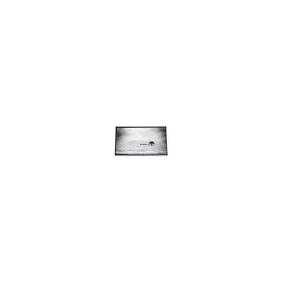 Harga yang bagus 640*480 3,5 inci PD035VX1 262K LCD Screen untuk Proyektor on line