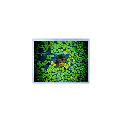 Harga yang bagus PD121XL4 12,1 inci 1024*768 600:1 LCD Screen Panel Display on line