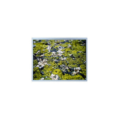 Harga yang bagus 1024*768 12,1 inci PD121XL9 4S6P WLED 60Hz LCD Panel Screen on line