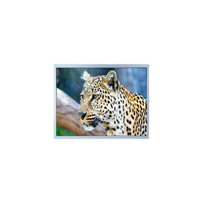 Harga yang bagus 400*234 6,5 inci PW065XS4 Lcd Screen untuk Digital Photo Frame on line