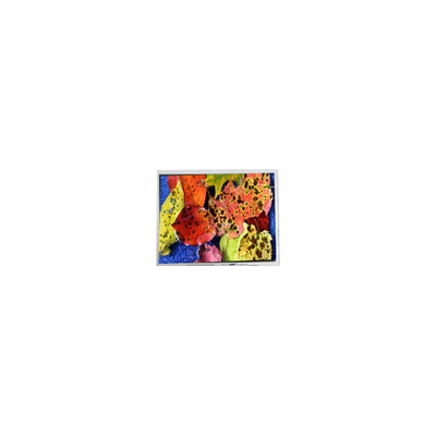 Harga yang bagus 800*600 AM-80060K3TMQW-02H 10,4 inci LVDS LCD Screen Display on line