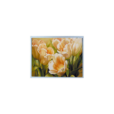 Harga yang bagus 9.0 inci 1024*600 AM-1024600Y2TZQW-A0H TFT 1200 cd/m2 LCD Screen Panel on line