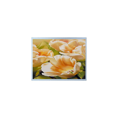 Harga yang bagus 1024*600 AM-1024600Y3TZQW-A1H 9,0 inci TFT 300 cd/m2 Bagian layar LCD on line