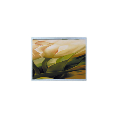 Harga yang bagus AM-1024600YTZQW-00H 1024*600 9,0 inci TFT 500 cd/m2 Panel layar LCD on line