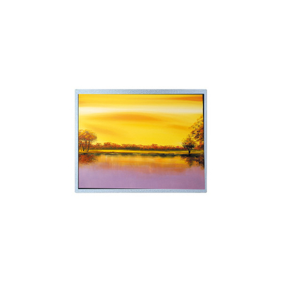 Harga yang bagus 1024*768 AM-1024768J2TZQW-T00H 8.0 inci TFT PCAP Bagian layar LCD on line