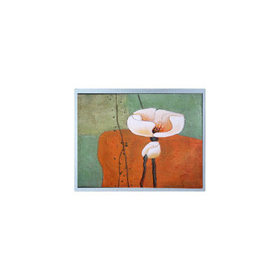 Harga yang bagus 15.5 inci AM-19201080F1TZQW-A0 LCD Screen Panel Untuk Cahaya Tinggi Luar Ruang on line