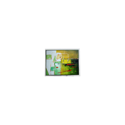 Harga yang bagus DMF5001NYL-ACE 160*128 4,7 inci 70Hz LCD Screen Module on line