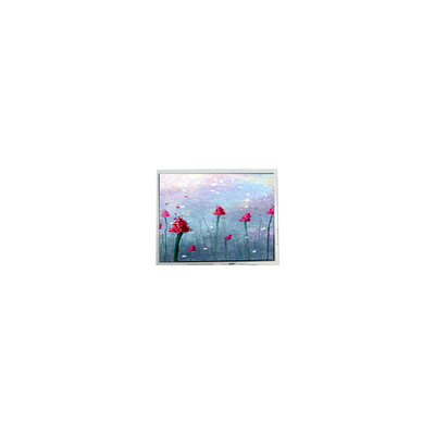 Harga yang bagus 5.2 inci DMF5005N-SEW-ABE-CP 240*64 70Hz LCD Screen on line