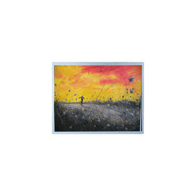 Harga yang bagus F-55157GNB-FW-APN 320*240 5,7 inci LCD Screen Panel Display on line