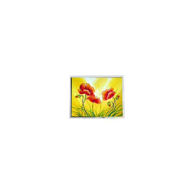Harga yang bagus 800*480 T-55711D080J-LW-A-AAN 8.0 inci 1000 cd/m2 LCD Display on line